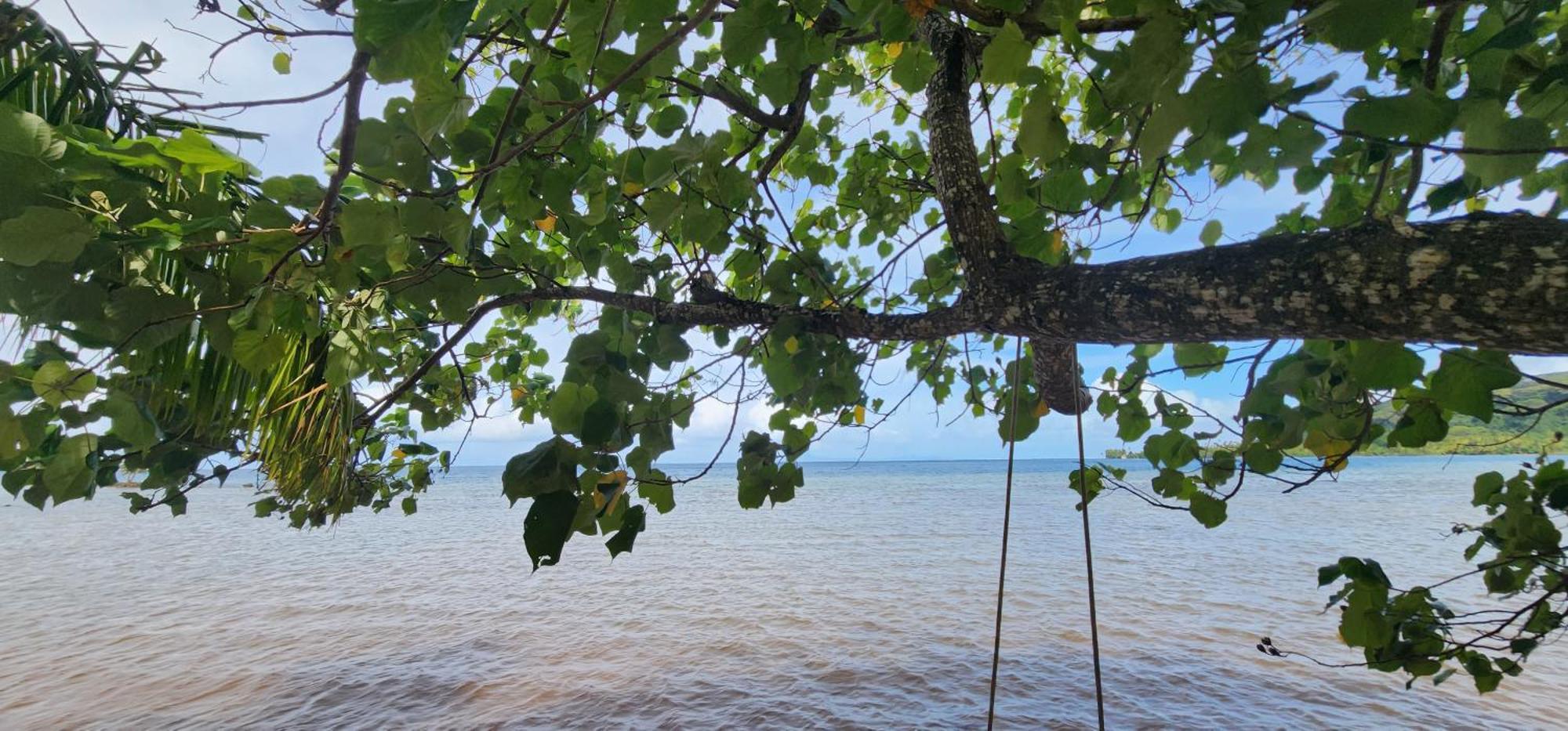 Fare Mama Rota - Au Bord De L'Ocean Villa Taputapuapea ภายนอก รูปภาพ