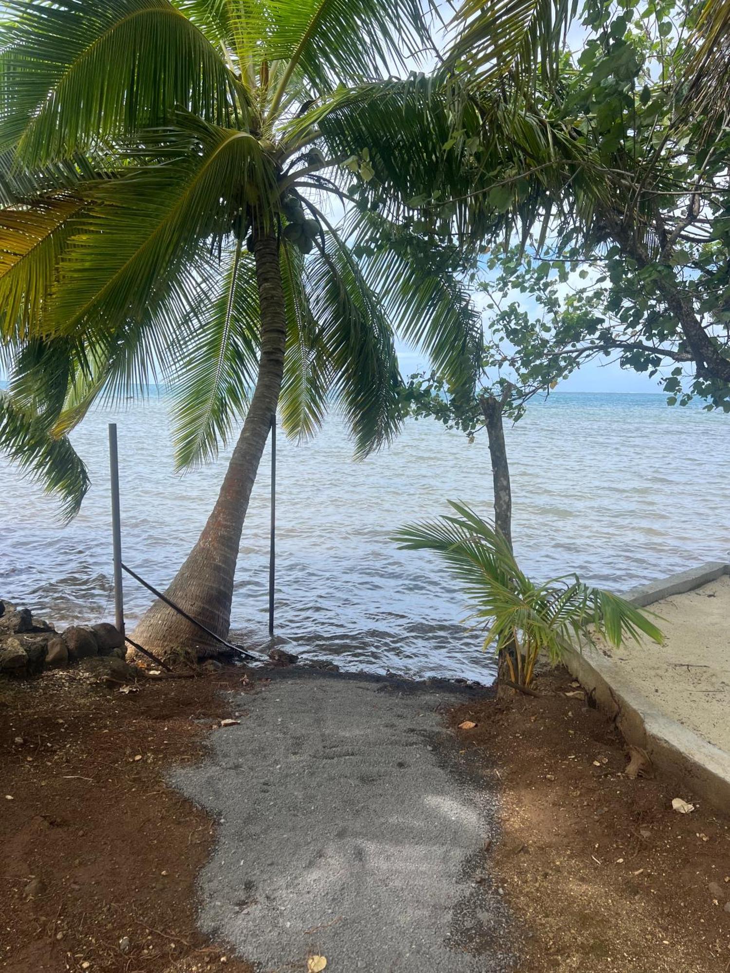 Fare Mama Rota - Au Bord De L'Ocean Villa Taputapuapea ภายนอก รูปภาพ